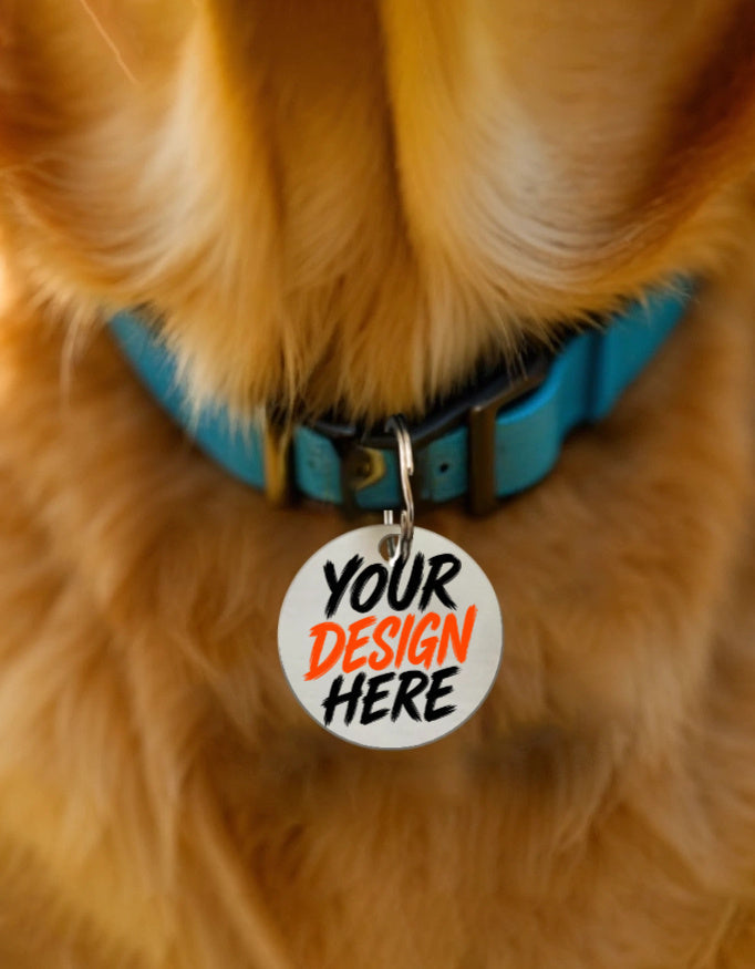 Front_1_c_1110.jpg